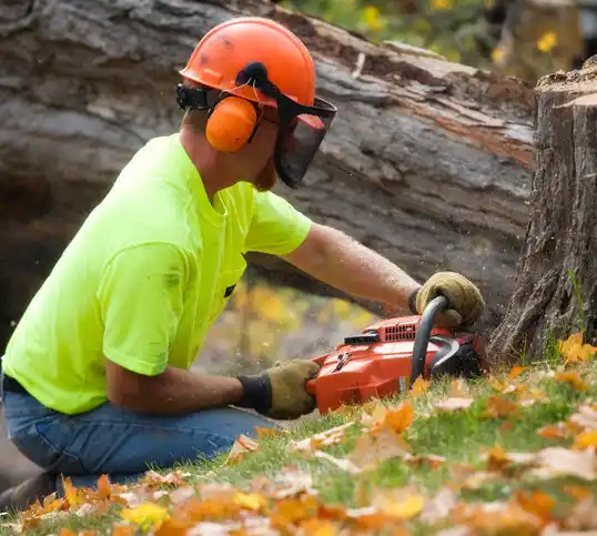 tree services Marysville